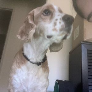 Meet your Posher, Shaye